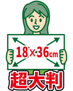 からだふきぬれタオル 150枚入 【本体】